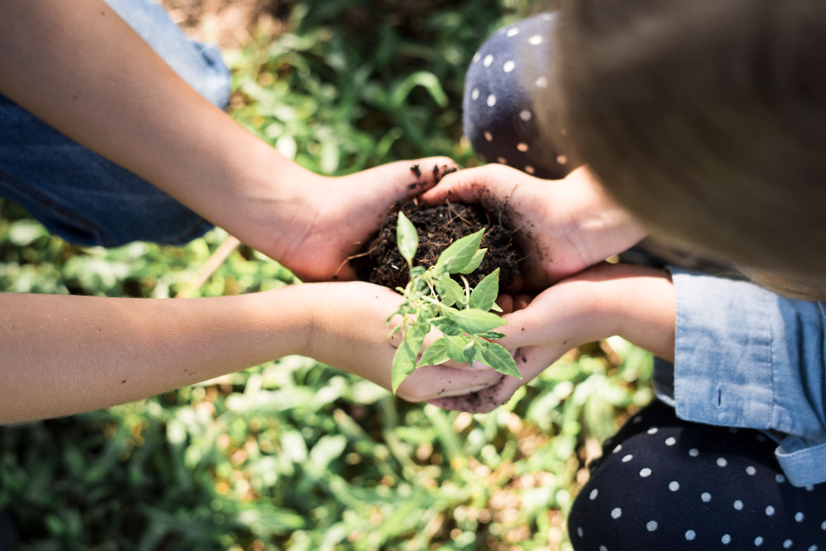 Mindful Adults, Mindful Kids: Planting Seeds in the Garden of Well-Being - IBZ Coaching