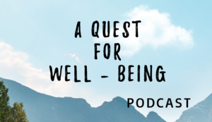 A-Quest-For-Well-Being-IBZ Coaching